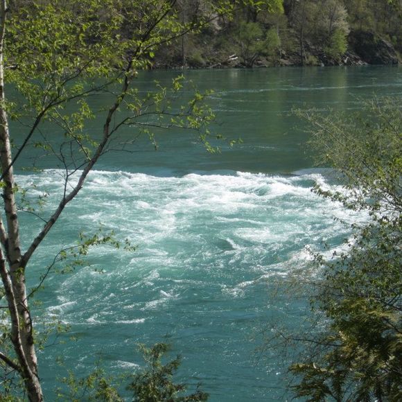 Meet your Posher, Kimberly - Picture 1 of 1